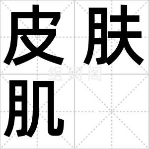 皮肤肌