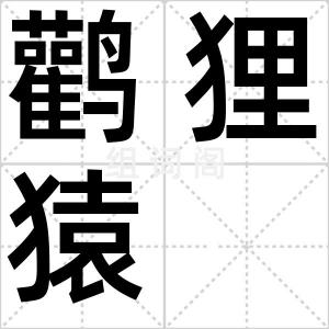 鹳狸猿
