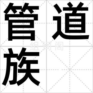 管道族