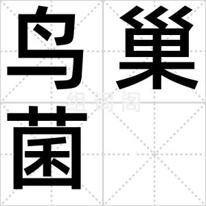鸟巢菌