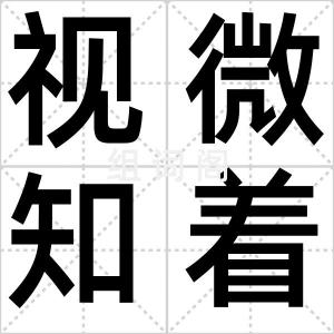 视微知着