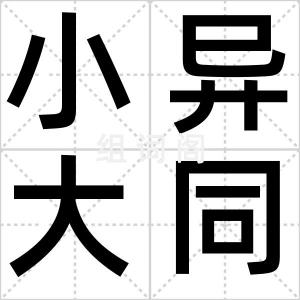 小异大同