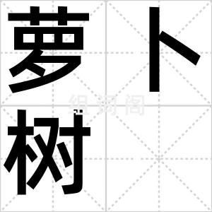 萝卜树