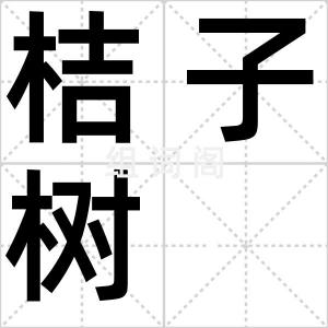 桔子树