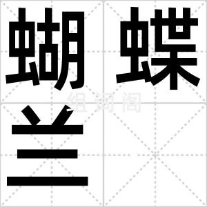 蝴蝶兰