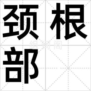 颈根部