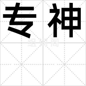 专神