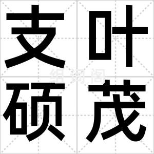 支叶硕茂