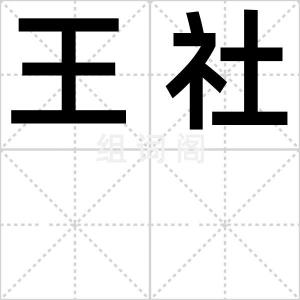 王社