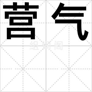 营气
