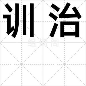 训治