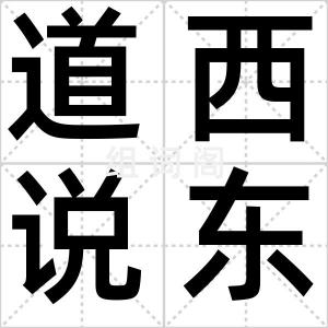 道西说东