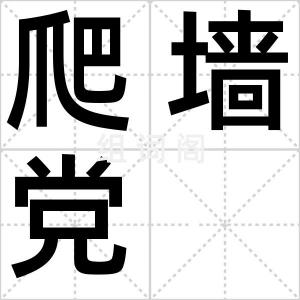 爬墙党