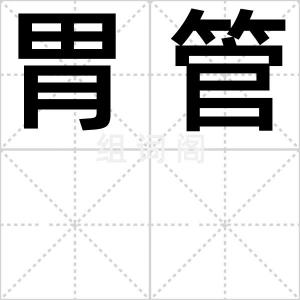 胃管