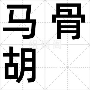 马骨胡