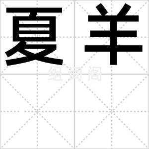 夏羊