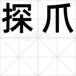 探爪