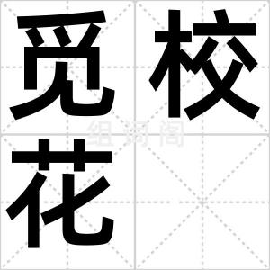 觅校花