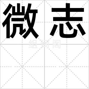 微志
