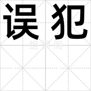 误犯