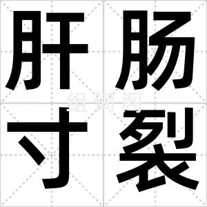 肝肠寸裂