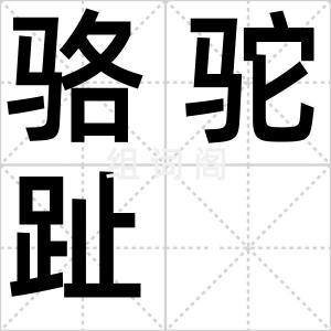 骆驼趾