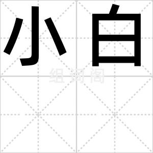 小白