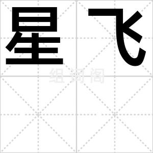 星飞