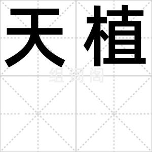 天植