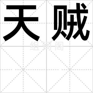 天贼