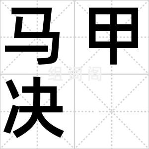马甲决