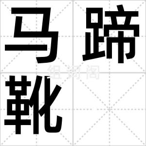 马蹄靴