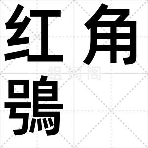 红角鴞