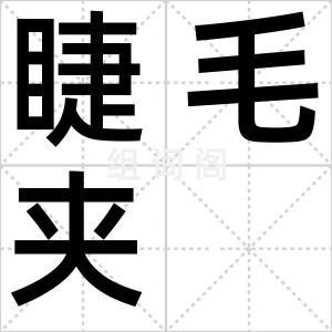 睫毛夹