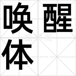 唤醒体