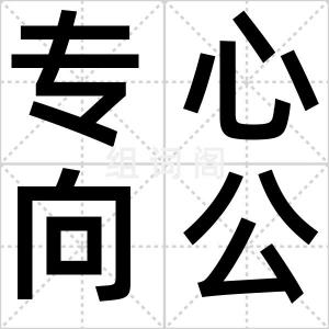 专心向公