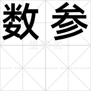 数参