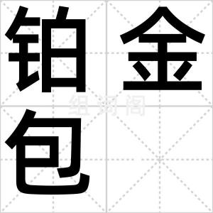 铂金包
