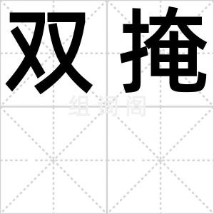 双掩