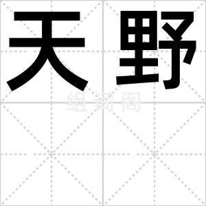 天野