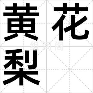 黄花梨