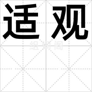 适观