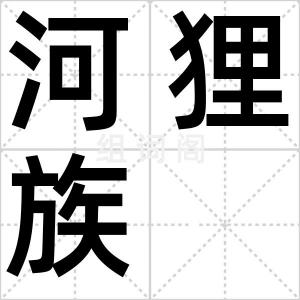 河狸族