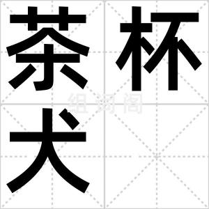茶杯犬