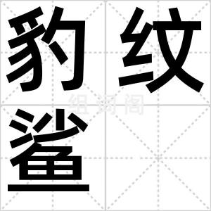 豹纹鲨