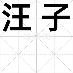 汪子