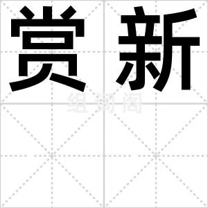 赏新
