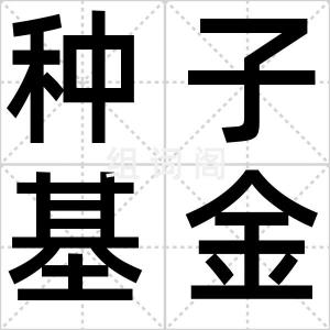种子基金