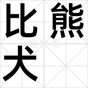 比熊犬