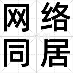 网络同居